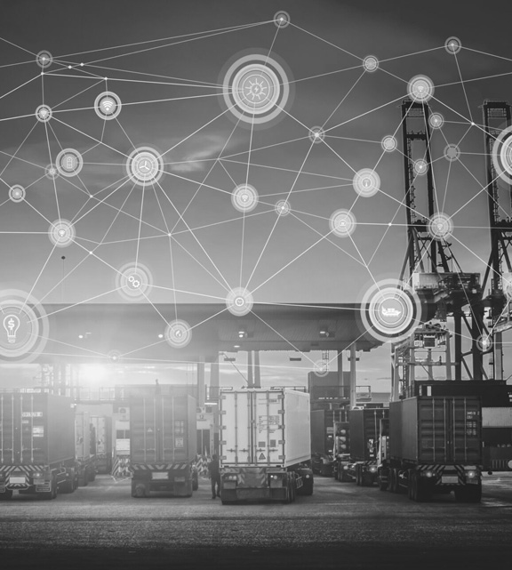 anasayfa_tanju_hizmetlerimiz_5